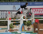 Schmitz Roughan Sparrow CsioArJYR SS7 8085 : CSIO Giovani Arezzo, Roughan Sparrow, Schmitz Edouard, foto Stefano Secchi ©